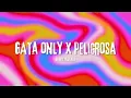 GATA ONLY X PELIGROSA (FloyyMenor) [Jr Stit Mashup]