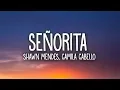 Download Lagu Shawn Mendes, Camila Cabello - Señorita (Lyrics)