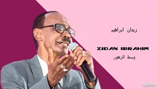 Zidan Ibrahim وسط الزهور  Zidan Ibrahim وسط الزهور