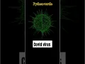 Python Turtle COVID-19 Virus AnimationCreative Coding Shorts