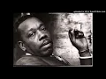 Slim Harpo - Shake Your Hips (1966)