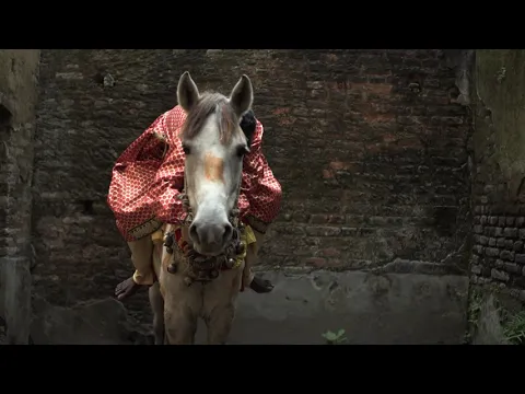 The Ballad of a Geek (নিঠুর বনে বিধুর নিরুপম) | Debashis Das | 12th IIUSFF Official Selection