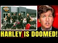 Download Lagu Harley Just Made a HUGE Mistake — Riders Are Furious