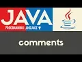 Comments Java Tutorial 24