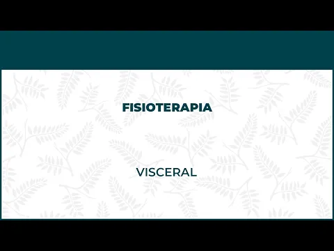 Fisioterapia Visceral - FisioClinics Madrid