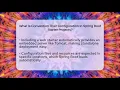 What Is Convention Over Configuration In Spring Boot Starter Projects - Server Logic Simplified