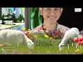 ไม่ธรรมดา - ไชยา มิตรชัย (Official Master)