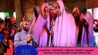 Toohida Maaddaa Haraashii Barnoota Gaarii Arkattuu  Toohida Maaddaa Haraashii Barnoota Gaarii Arkattuu