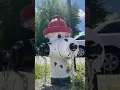 Cute fire hydrants in Murphysboro Illinois