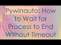 Pywinauto How to Wait for Process to End Without Timeout