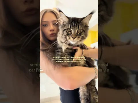 ⭐️💛