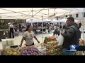 Local apple harvest brings higher prices but supports community