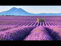 Download Lagu Beautiful Relaxing Music, Peaceful Soothing Music, \