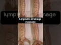 Lymphatic drainage leg calf massage