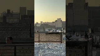 باخت خوردن کبوتر ساده پر قیچیم کبوتر بلندپرواز کبوتربازی شورت کبوتر نظافت 