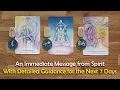 An Immediate Message from Spirit with Guidance for the Next 7 Days👉🏼📩🙏🏻✨☄️Timeless Pick a Card Tarot