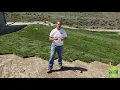 Sod Installation Guide Tips