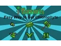 Terraria ios 1 2 Easy Way to get Chlorophyte Bars