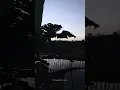 Download Lagu Wadas Plantungan Kendal. Betapa Indahnya Nuansa Pagi di Pinggiran Kampung ku.