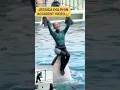 Download Lagu Horrifying last video Jessica dolphin#jessica #shorts #dolphin #shortvideo #sports #orca #orcaattack