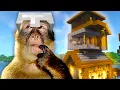 How it Feels to Build a House Without a Tutorial