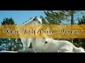 White Wolf Dream Meaning Interpretation