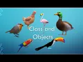 Class and object