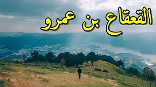 أروع قصيدة عن القائد الصحابي المسلم القعقاع بن عمرو 