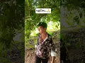 Download Lagu 😘😘mafati to joye se