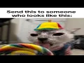 Idiots Dub Discord Gifs