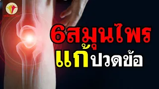 อาการปวดข้ออาจเป็นสัญญาณของโรคอะไรบ้าง