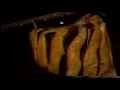 Download Lagu Churrascaria João Maia - Carne Serenada