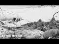 Download Lagu 15 januari 1945 – De dag dat de SS de heuvelrug omsingelde – en één man hem met een jachtgeweer i...