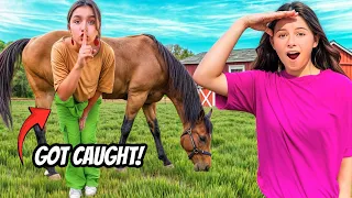 Extreme Hide and Seek with Horses! *WORST IDEA EVER*