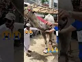 Download Lagu Eid Qurbani #eid #eidmubarak #motivation #youtubeshorts #youtube