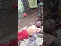 Download Lagu Baby Angel is calling upon your support she needs a wheelchair and monthly support please help us