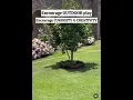 Download Lagu HERE ARE 10 SIMPLE WAYS TO NURTURE IT...(DIVYY RESEARCH CLINIC)