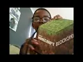 Book Review Minecraft Blockopedia by Scholastic Inc