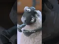Download Lagu Shaun the Sheep x Barbour 2024 - Live Action! #shaunthesheep #behindthescene #barbourchristmas