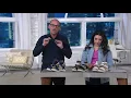 FLY London Leather Ankle Strap Wedges - Wink on QVC