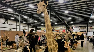 MID OHIO ALTERNATIVE ANIMAL and BIRD SALE MT HOPE EXOTIC ANIMAL AUCTION