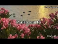Download Lagu Negativ ton fata| Mai am un dor ascuns în noapte!