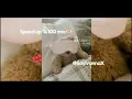 🍿~Boza, Sech - Paris~🍿//LatinHype | Ivanna //Speed up - Primer Video!😱