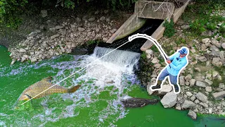 A MASSIVE New PB was in the SEWAGE!!! (GIANT Fish)
