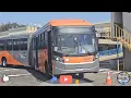 Download Lagu 15° InterBuss City Tour
