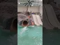 Have fun at Germantown indoor pool