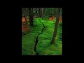 Tong & Rogers-Where's The Music Gone (Cristoph 'Titch' Private Edit) w/ Cristoph - Big H (Interlude)