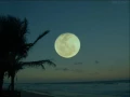 Download Lagu A LUA QUE EU TE DEI IVETE SANGALO