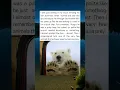 Download Lagu Polar Bear Taps on Window Like a Friendly Visitor