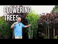 10 Great Ornamental Flowering Trees